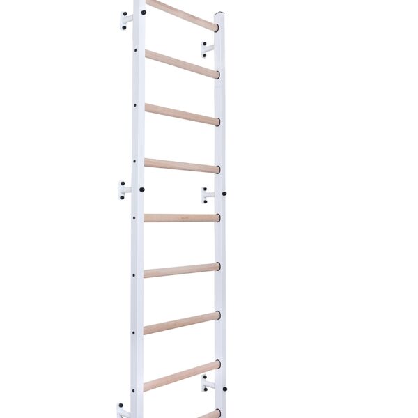 Spalier BenchK 700W, cu un cadru de otel si 9 bare din fag masiv