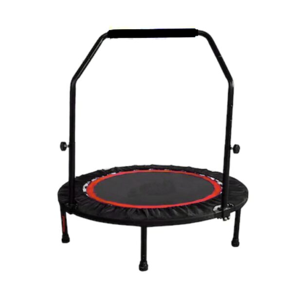 Trambulina fitness, 100cm, DY-JS-0131, Dayu Fitness